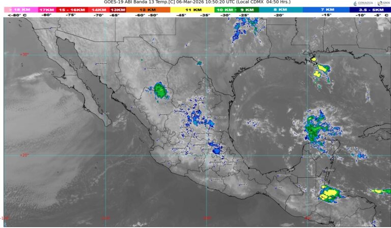 WhatsApp Image 2026-03-06 at 07.56.15