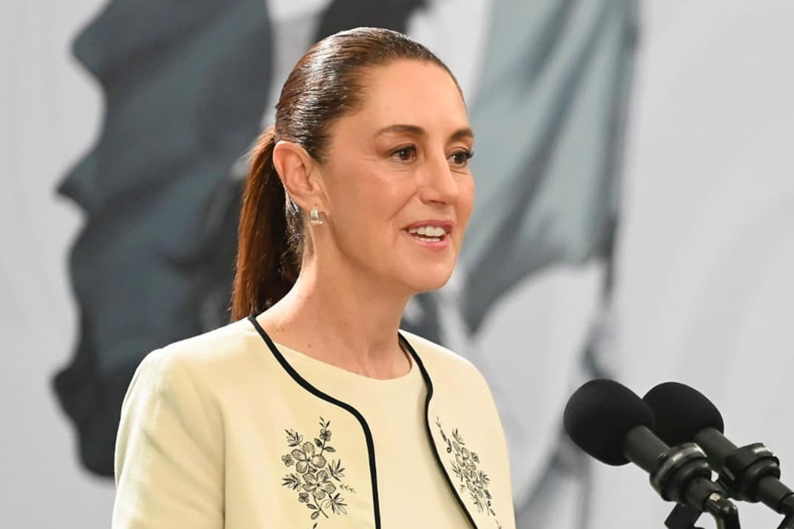 WhatsApp Image 2026-03-13 at 11.55.28