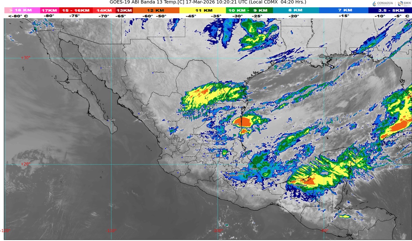 WhatsApp Image 2026-03-17 at 07.59.55