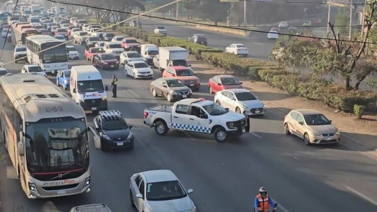 WhatsApp Image 2026-03-24 at 09.56.36 (5)