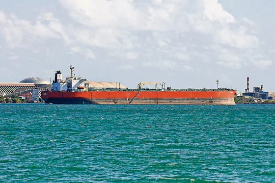 WhatsApp Image 2026-04-02 at 09.11.46