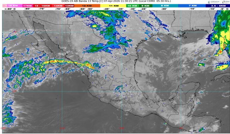 WhatsApp Image 2026-04-07 at 07.42.06