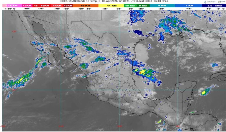 WhatsApp Image 2026-04-08 at 08.53.08