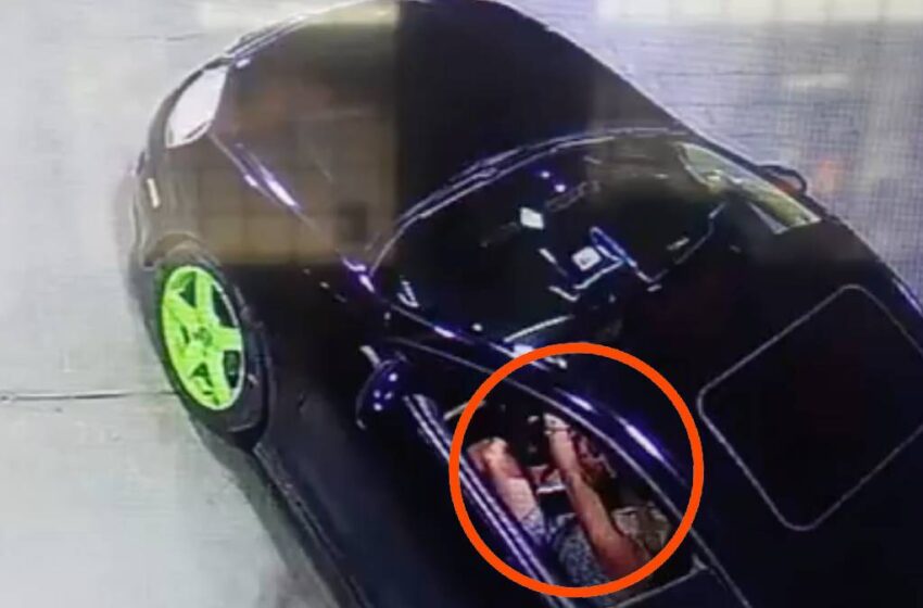 WhatsApp Image 2026-04-11 at 10.07.11