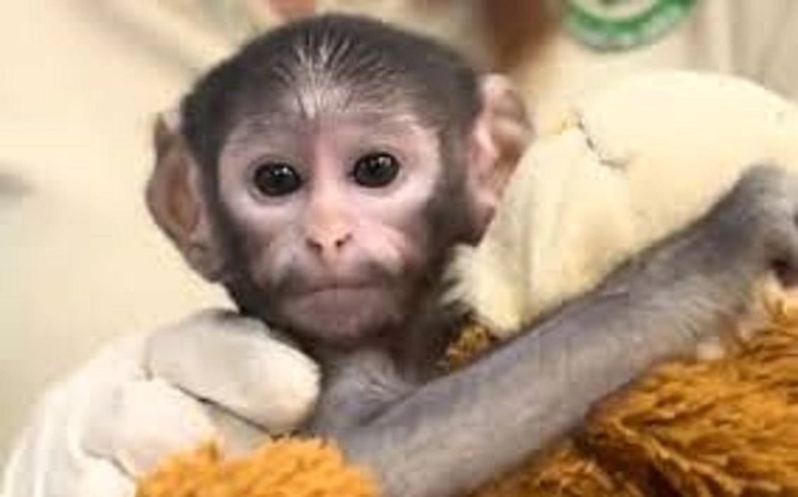 WhatsApp Image 2026-04-11 at 20.26.34