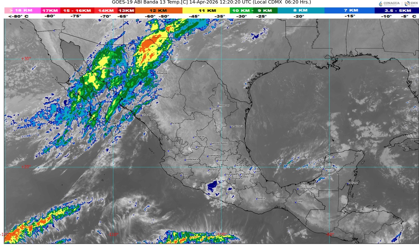 WhatsApp Image 2026-04-14 at 08.02.28