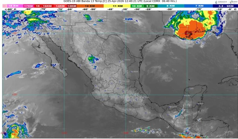 WhatsApp Image 2026-04-25 at 08.07.35