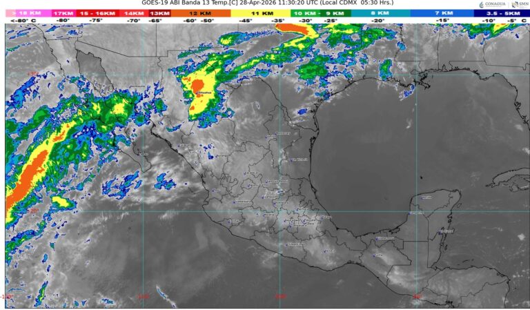 WhatsApp Image 2026-04-28 at 08.04.11